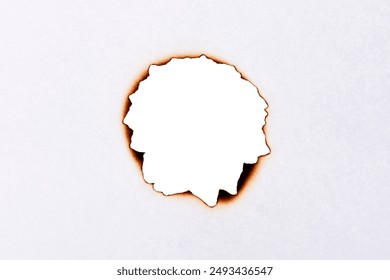 免费看电视剧的网站