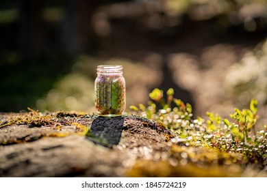 奈飞会员使用方法：轻松注册与畅享海量影视资源的指南
